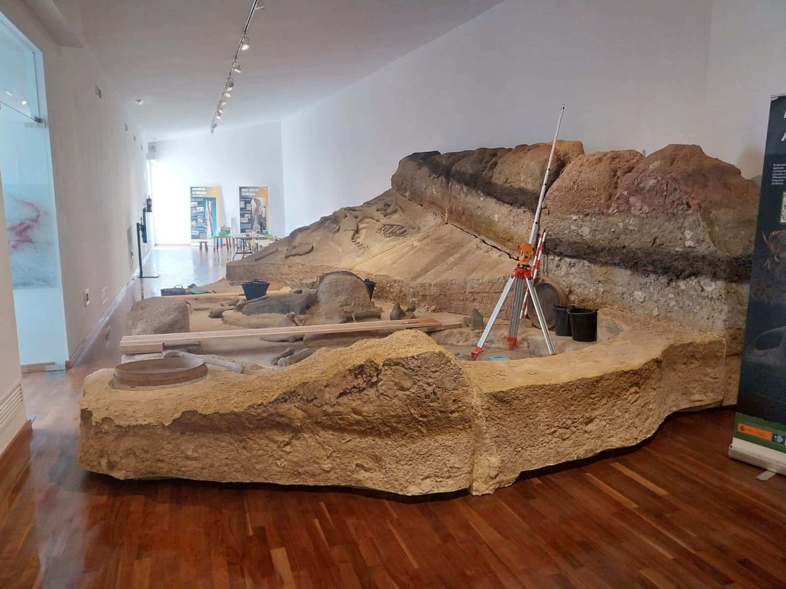 Recreación de estratos y excavación paleontológica en Paleomágina